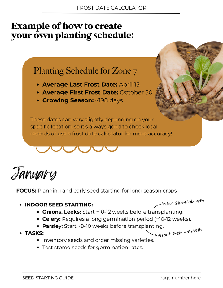 Year Round Seed Starting Guide/ E-Book | Your Month-by-Month Roadmap to Successful Gardening