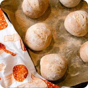Baking sheet of freshly baked sourdough rolls