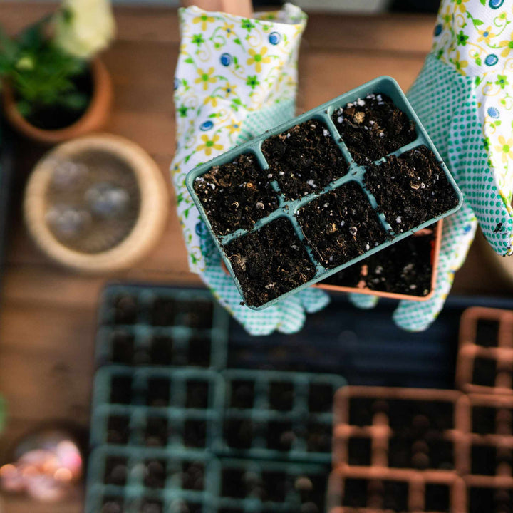 The Homesteader Seed Starting Bundle