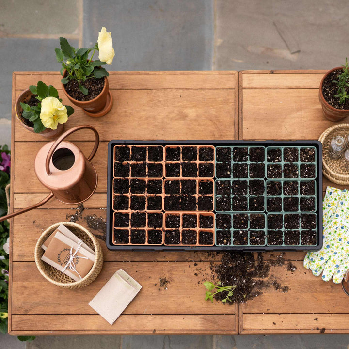 Homesteader seed starting spread
