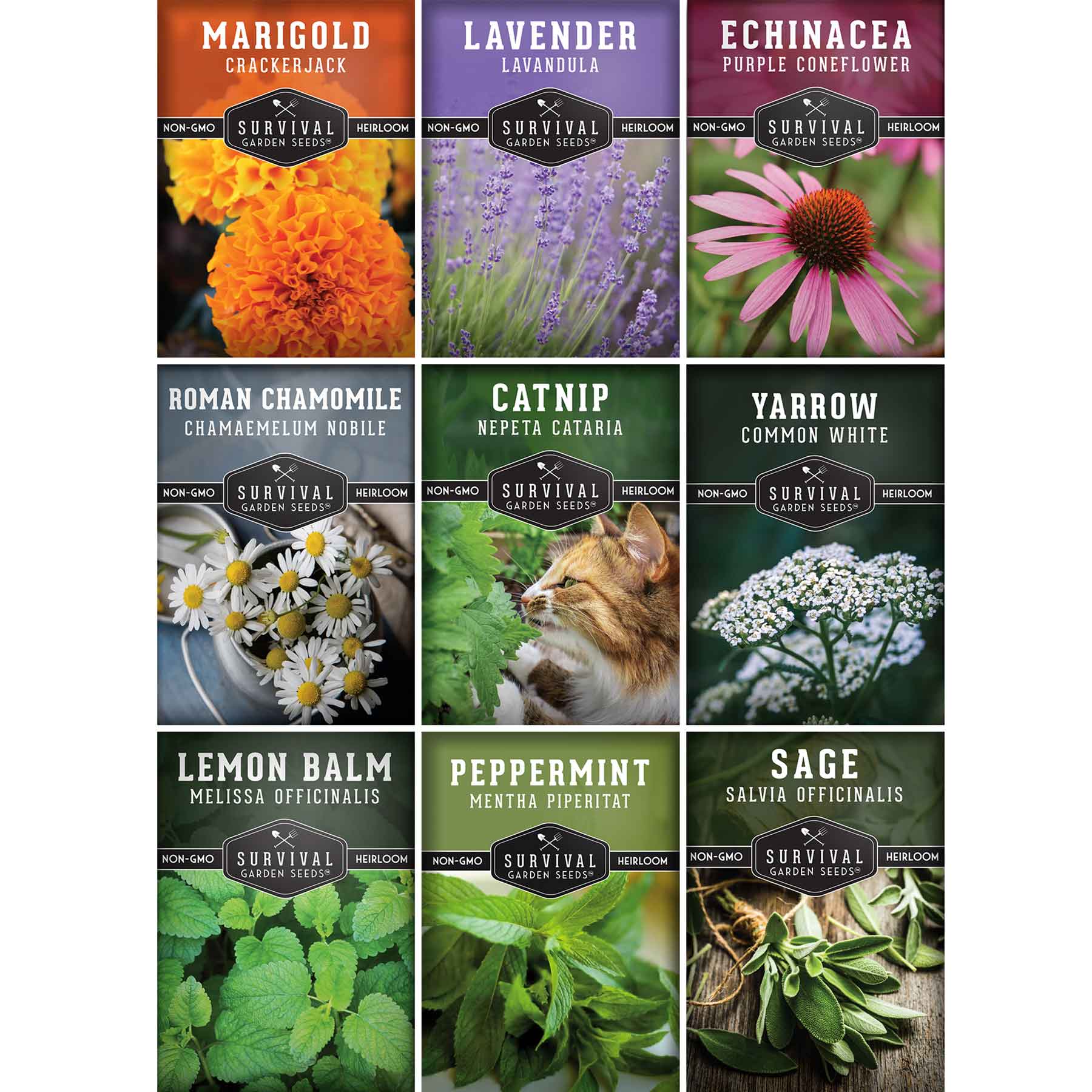 medicinal plants seeds 9 Medicinal Tea Herbs – Heirloom Non-GMO Seeds