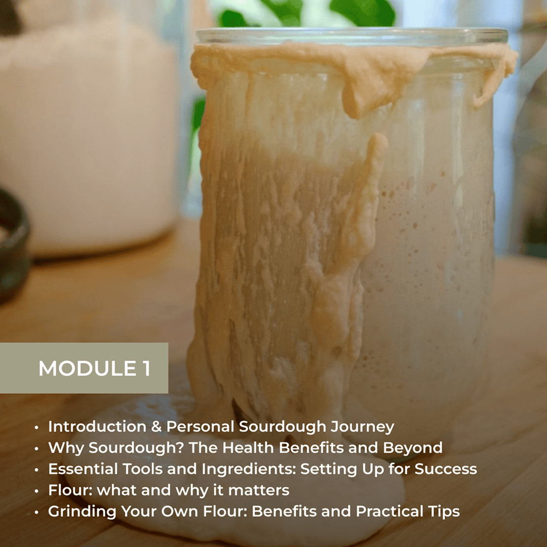 Module 1 showing a jar of sourdough starter with topics: Introduction & Personal Sourdough Journey, Health Benefits, Essential Tools and Ingredients, Flour importance, and Grinding Your Own Flour.