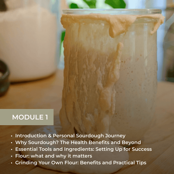 Module 1 showing a jar of sourdough starter with topics: Introduction & Personal Sourdough Journey, Health Benefits, Essential Tools and Ingredients, Flour importance, and Grinding Your Own Flour.