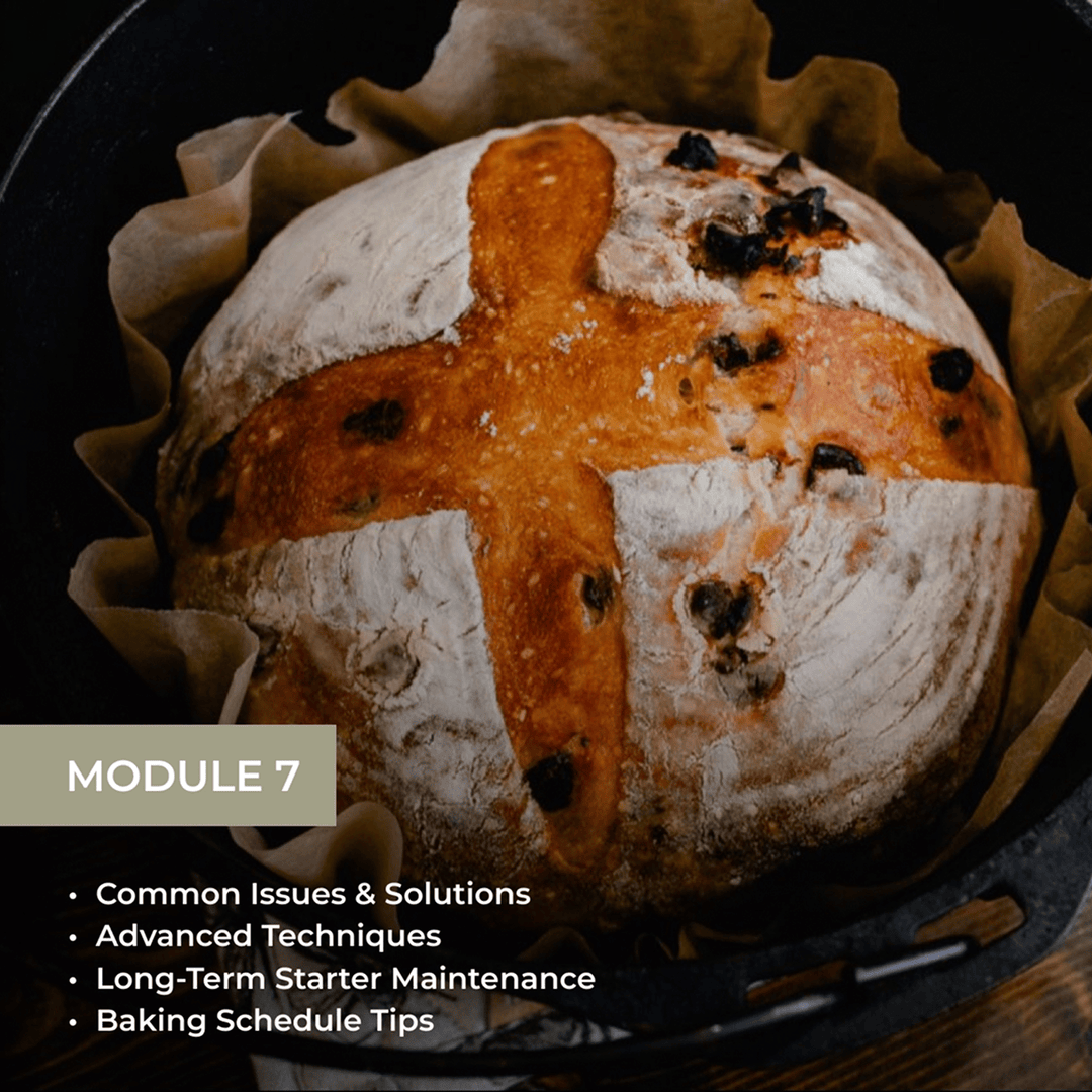 Module 7 showing a round sourdough loaf with cross scoring and inclusions with topics: Common Issues & Solutions, Advanced Techniques, Long-Term Starter Maintenance, and Baking Schedule Tips.