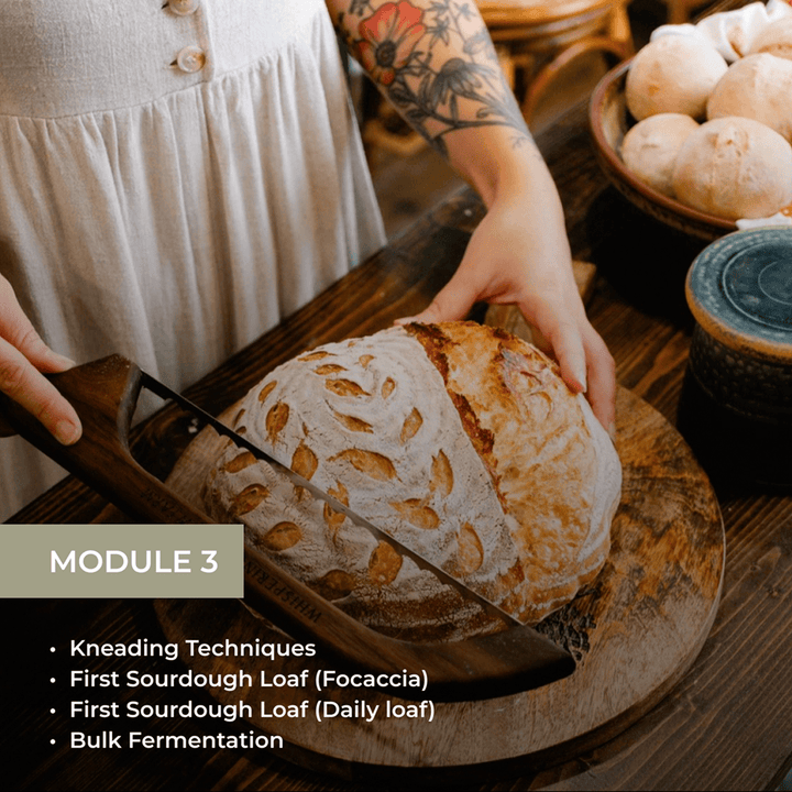 Module 3 showing hands cutting a crusty artisan loaf with topics: Kneading Techniques, First Sourdough Loaf (Focaccia and Daily loaf), and Bulk Fermentation.