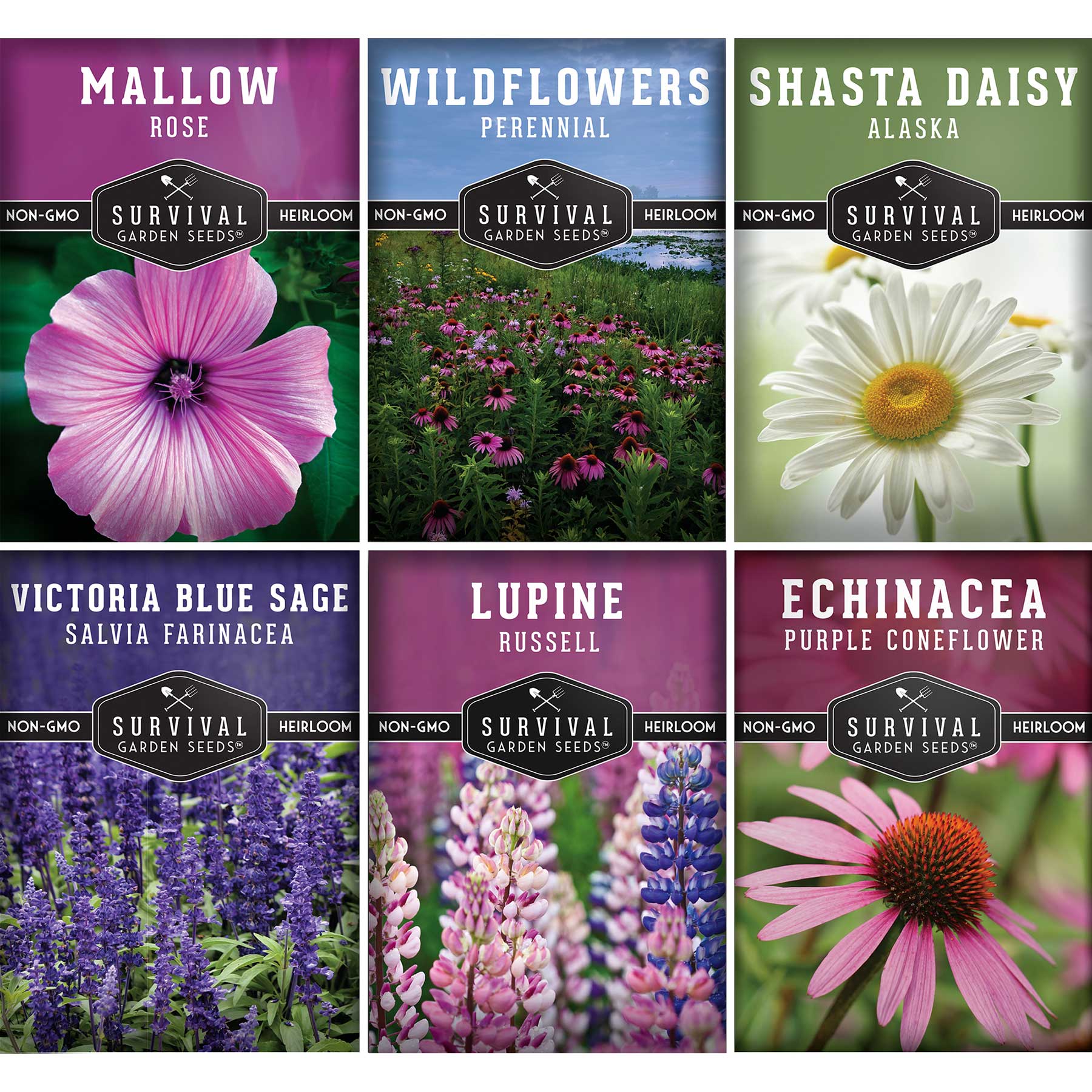 Perennial Flowers Mix 6 Seed Pack - Shasta Daisy, Echinacea, Russell Lupine, Rose Mallow, Blue Sage, Wildflowers