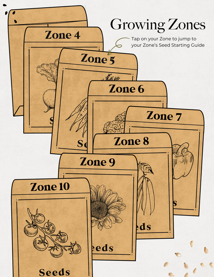 Year Round Seed Starting Guide/ E-Book | Your Month-by-Month Roadmap to Successful Gardening