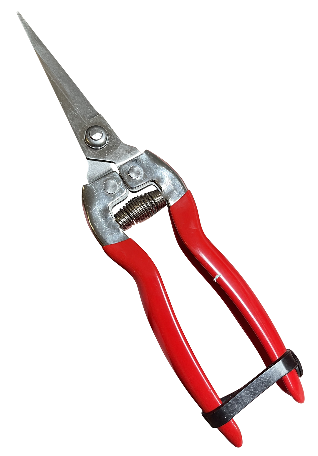 Stainless Steel Pruning Shears