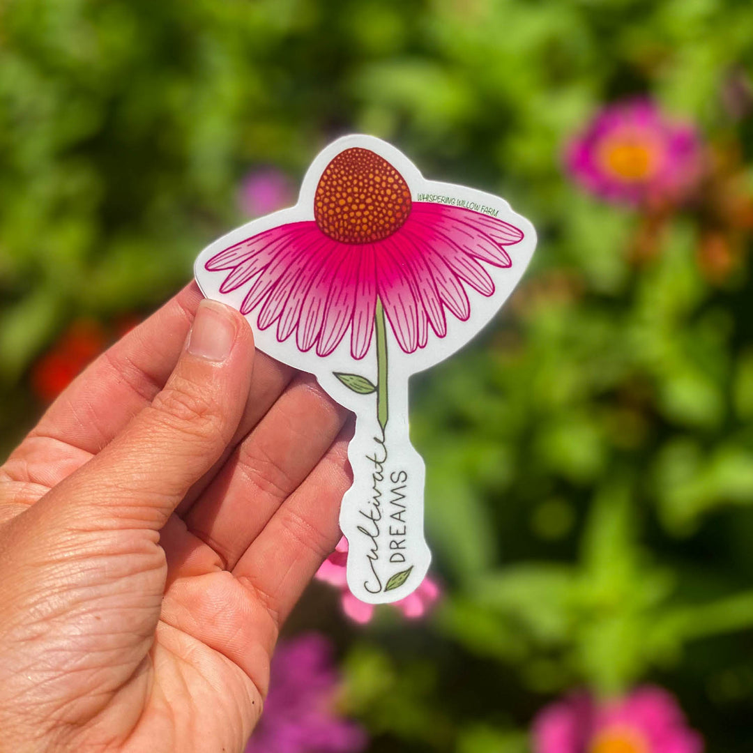 Coneflower Sticker