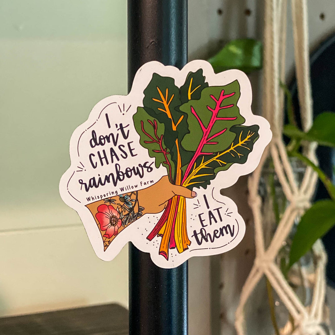 I Don't Chase Rainbows Magnet