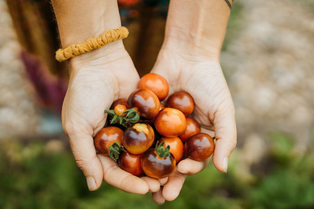 The Season before Visible Growth