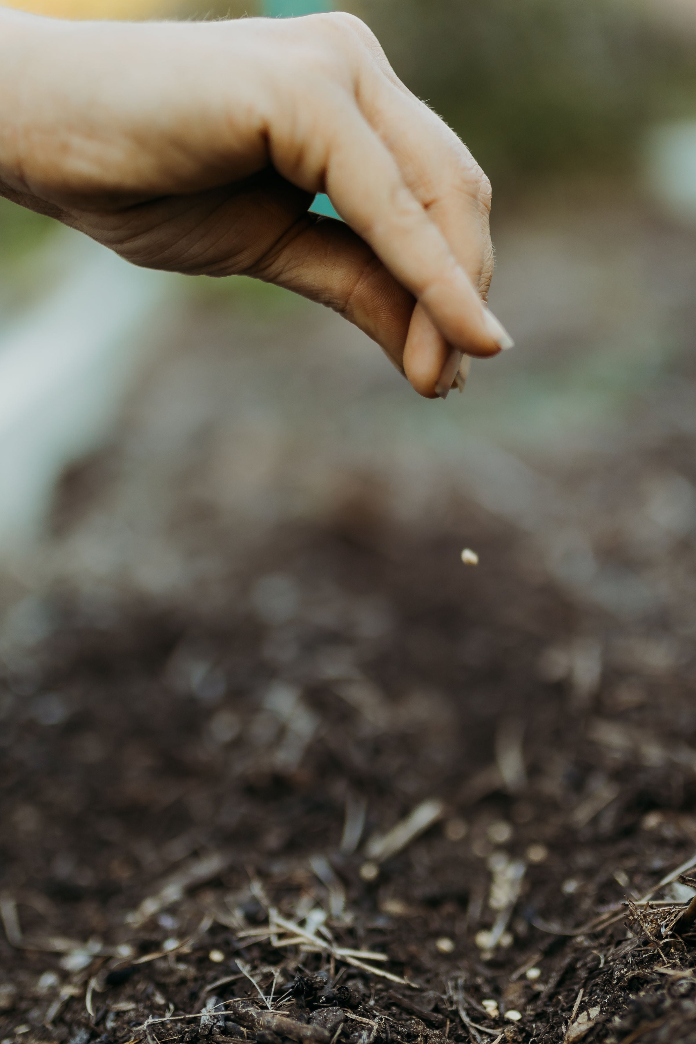 When to Start Seeds by Zone (4–10)