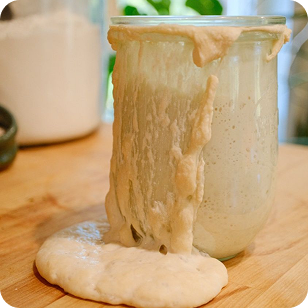Mastering Sourdough: How to create a sourdough starter from scratch