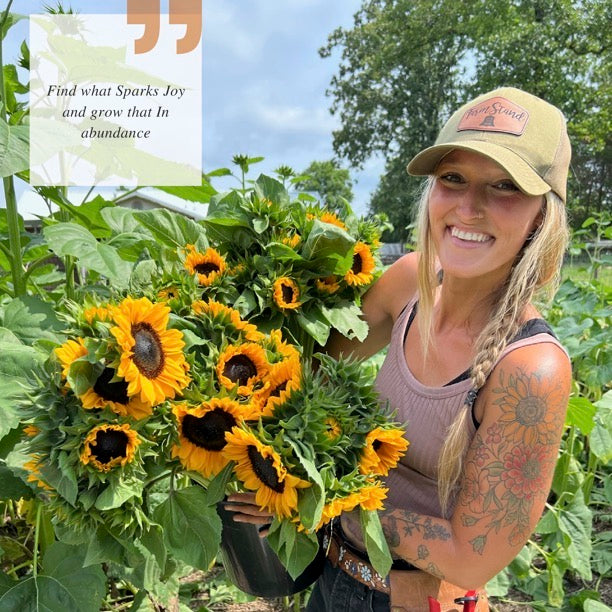 Grow Amazing Sunflowers - eBook