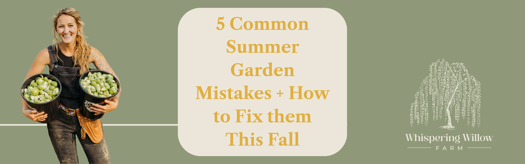 5 Common Summer Gardening Mistakes (and How to Fix Them This Fall)