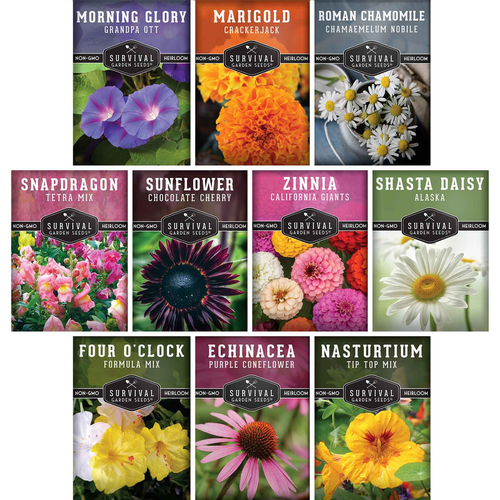 magma flower seed 10 Flower Seed Collection