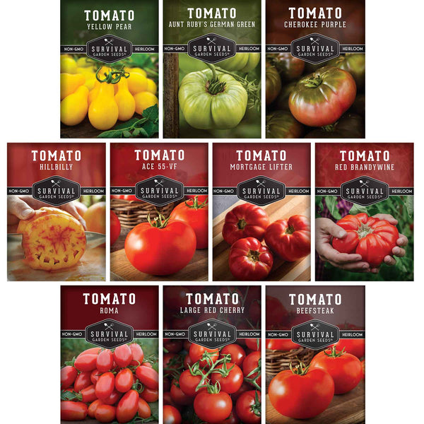 best tomato seeds to plant 10 Tomato Seed Collection – Heirloom Mix
