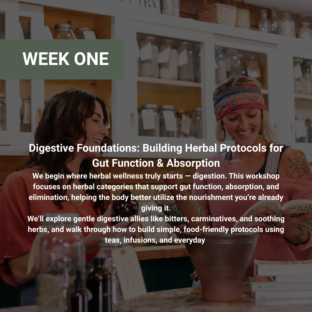 Rooted Wellness Workshops