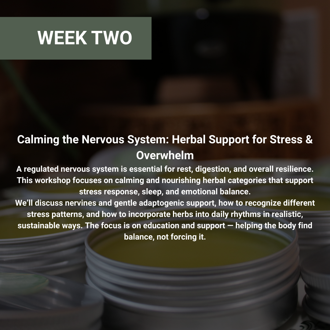 Rooted Wellness Workshops