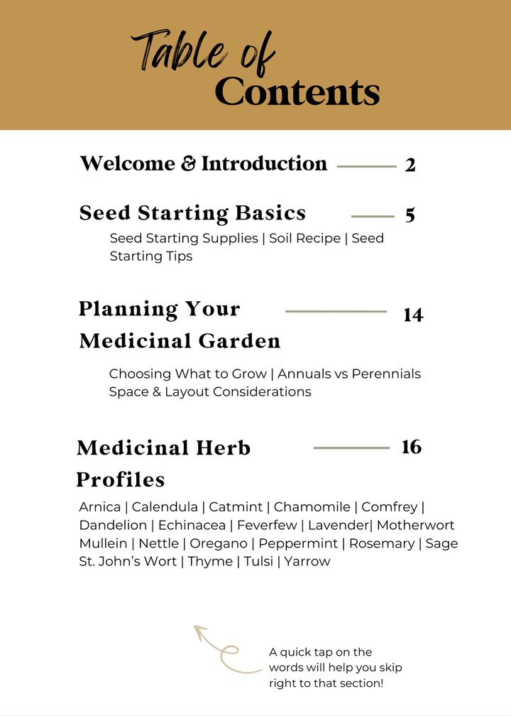A Beginner Guide to Growing a Medicinal Garden (E-Book)