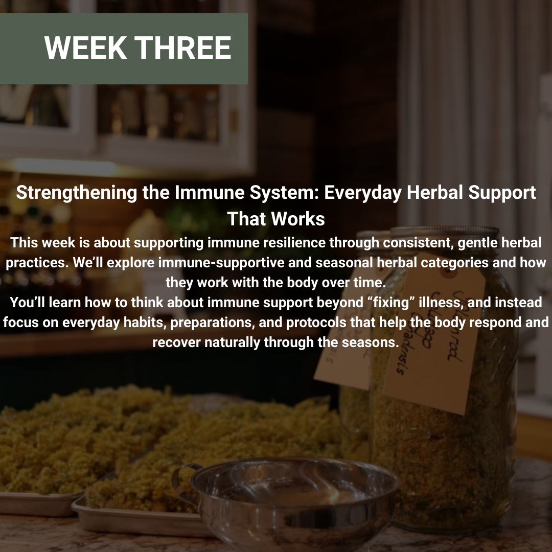 Rooted Wellness Workshops