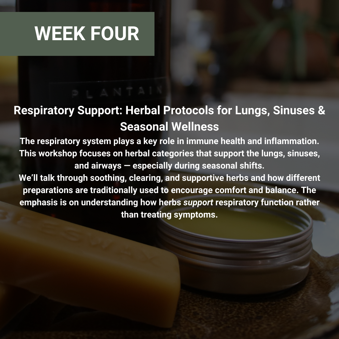 Rooted Wellness Workshops