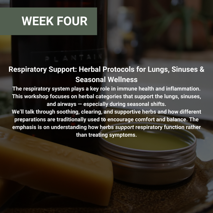 Rooted Wellness Workshops