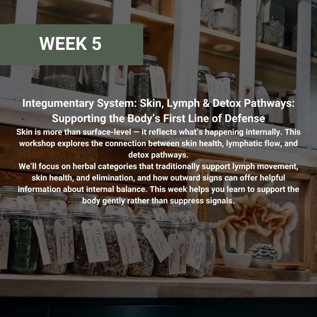 Rooted Wellness Workshops