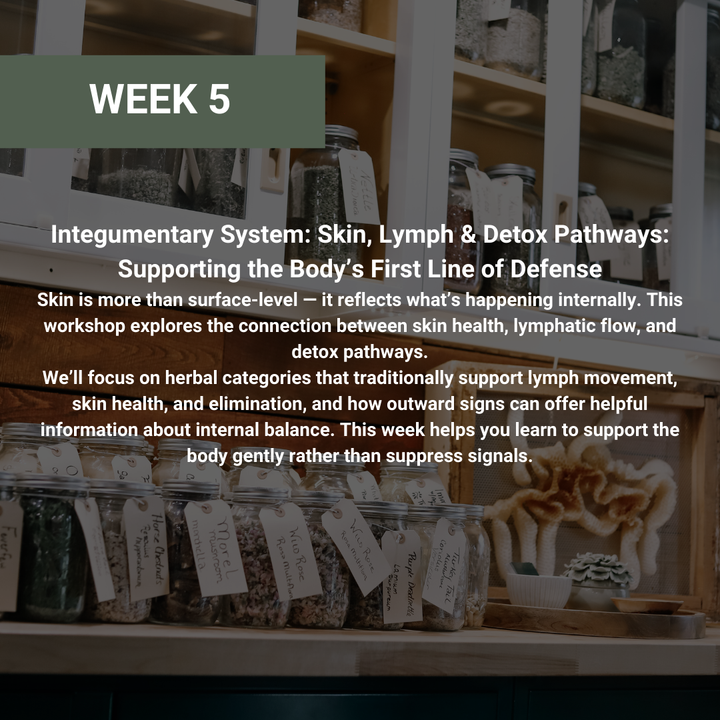 Rooted Wellness Workshops