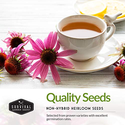 herbal tea garden seeds Herbal Tea Garden Seeds Kit – 5 Medicinal Herbs