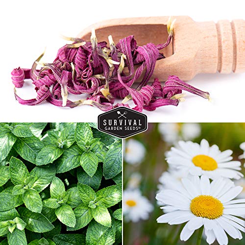 tea seeds for planting Herbal Tea Garden Seeds Kit – 5 Medicinal Herbs