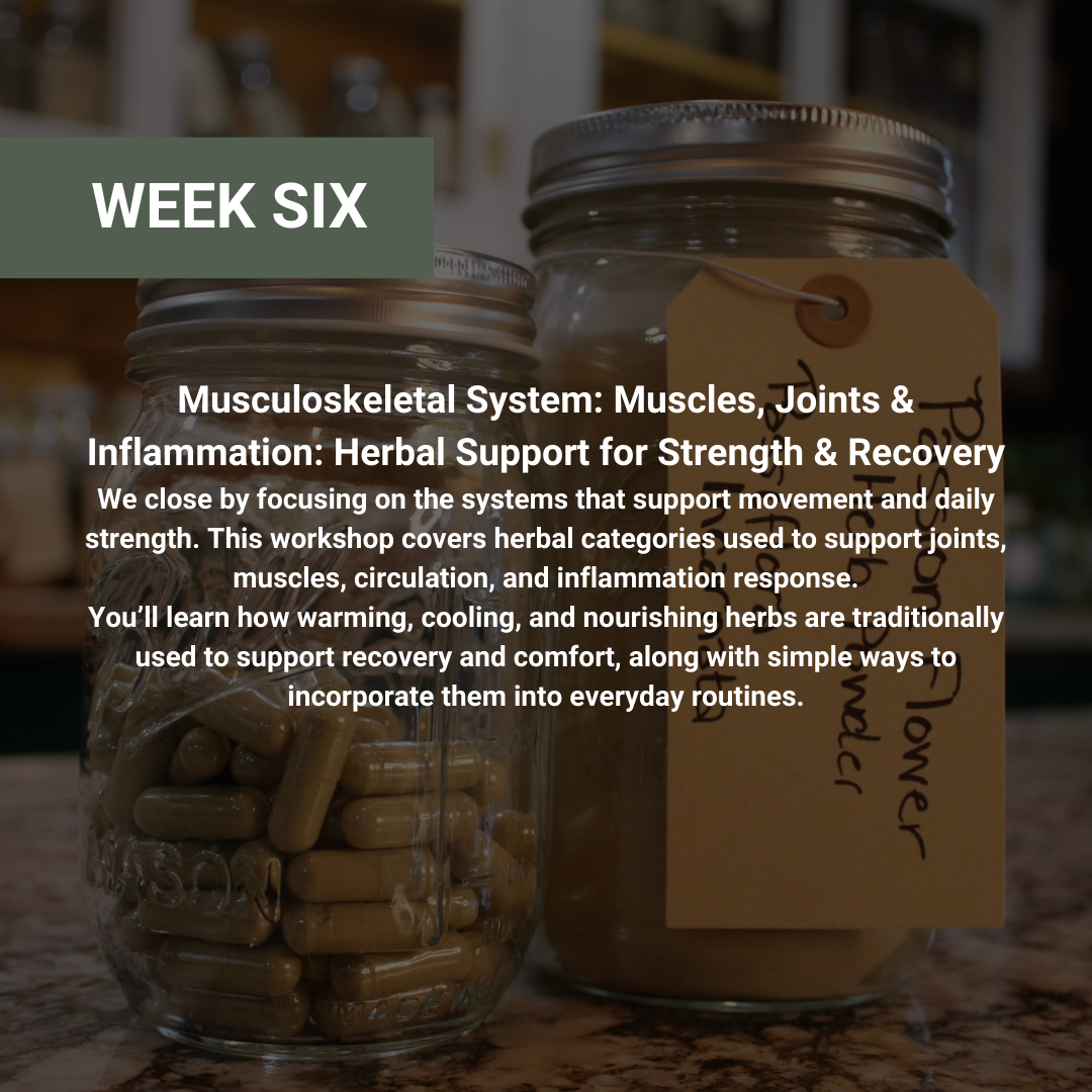 Rooted Wellness Workshops