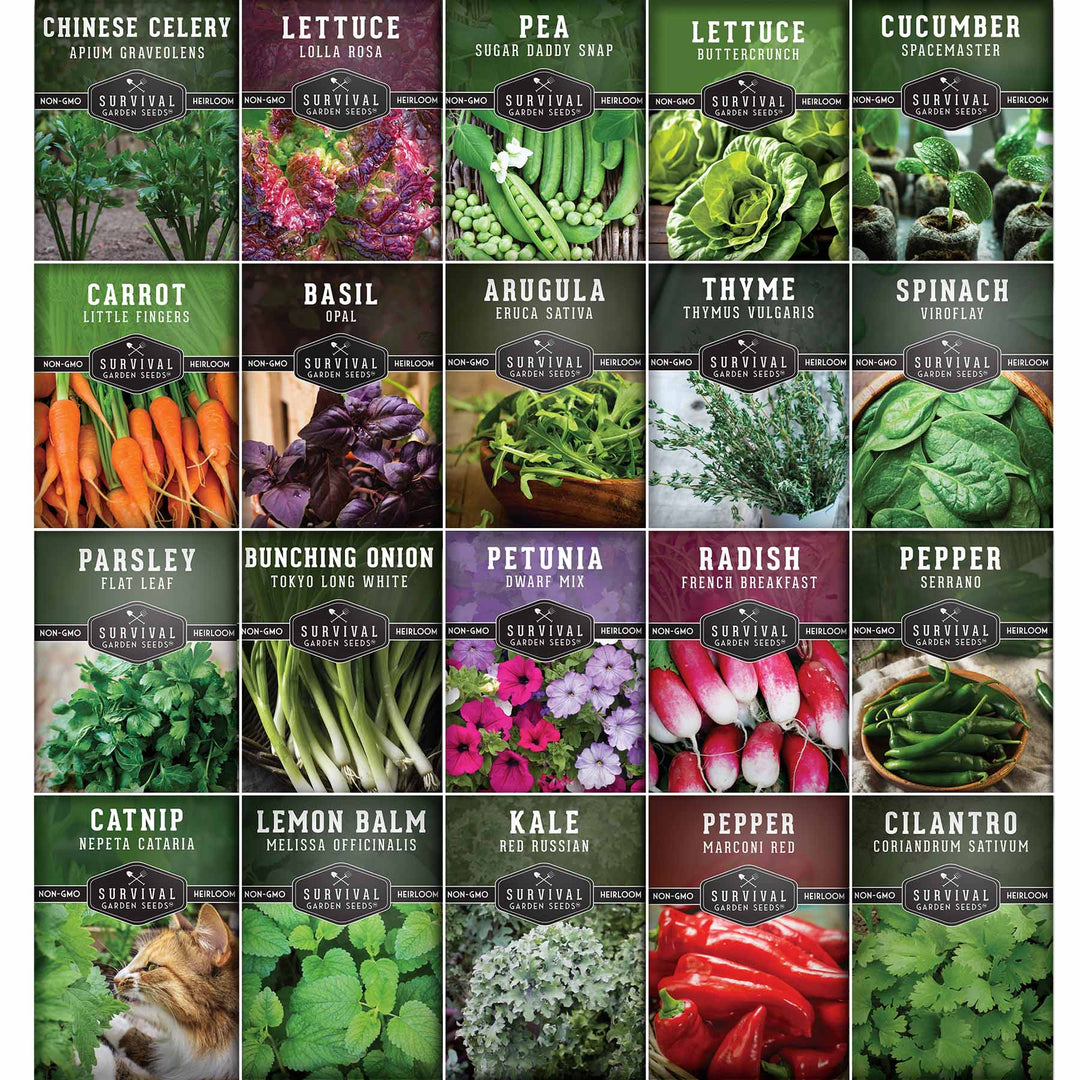 container vegetable garden seeds Apartment Kit Seed Vault