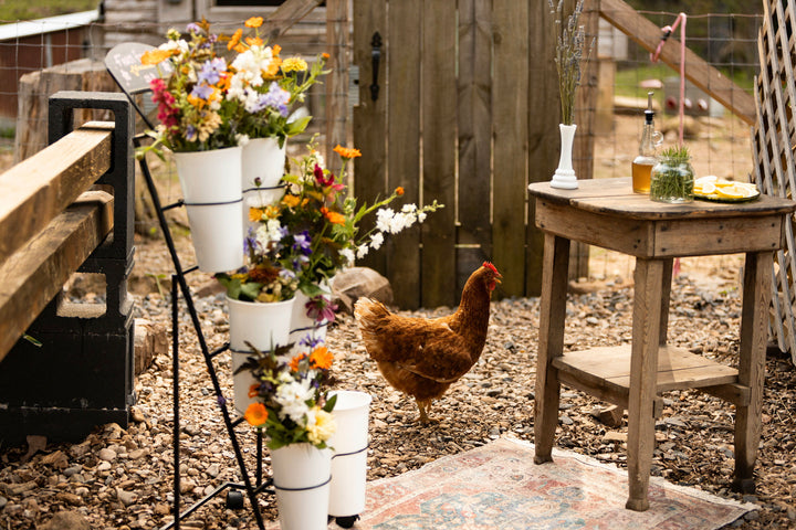 Pizza on the Farm | Saturday Night Pizza Experience | June 27, 2026