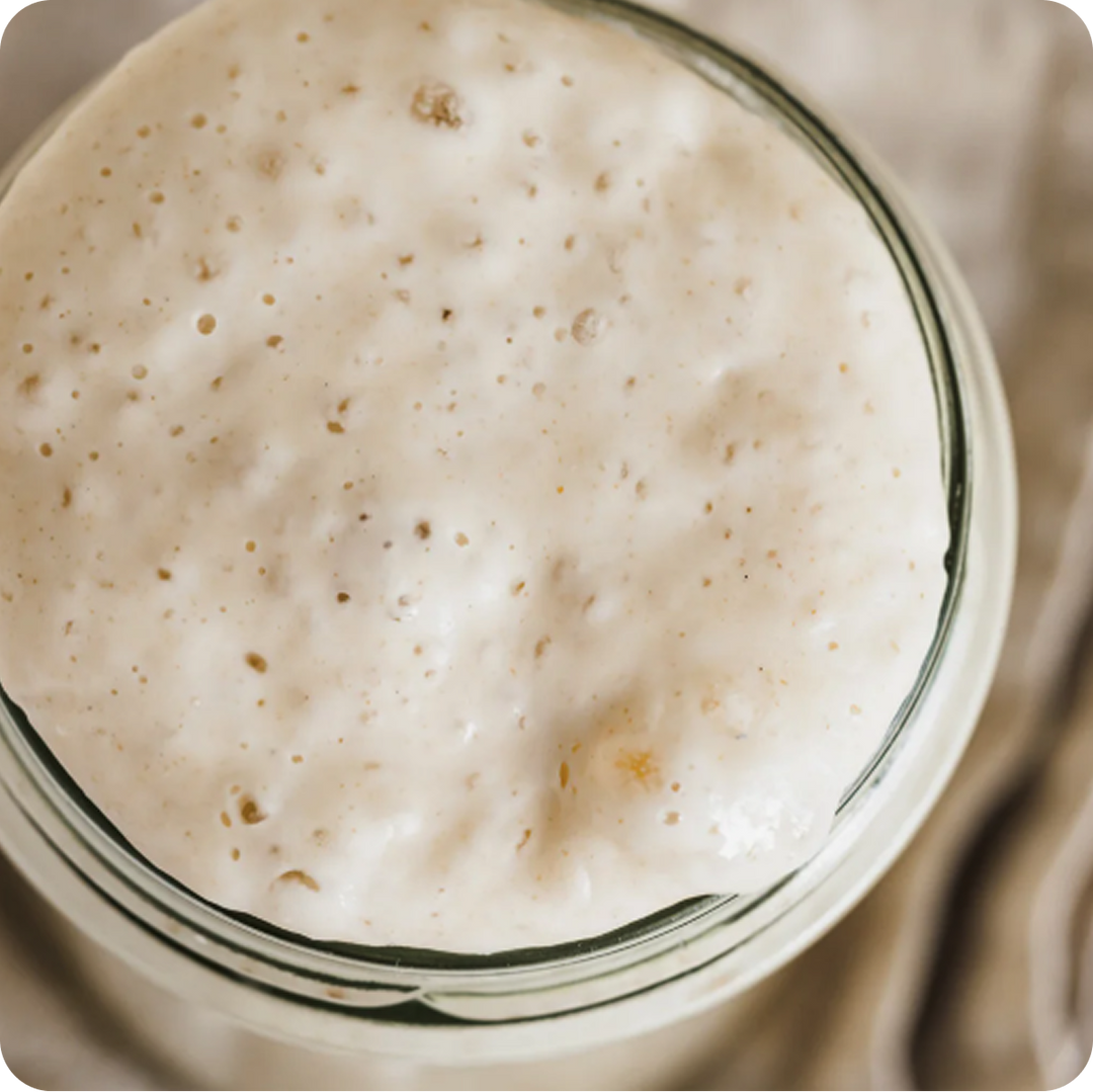 A Taste of Sourdough Cookbook