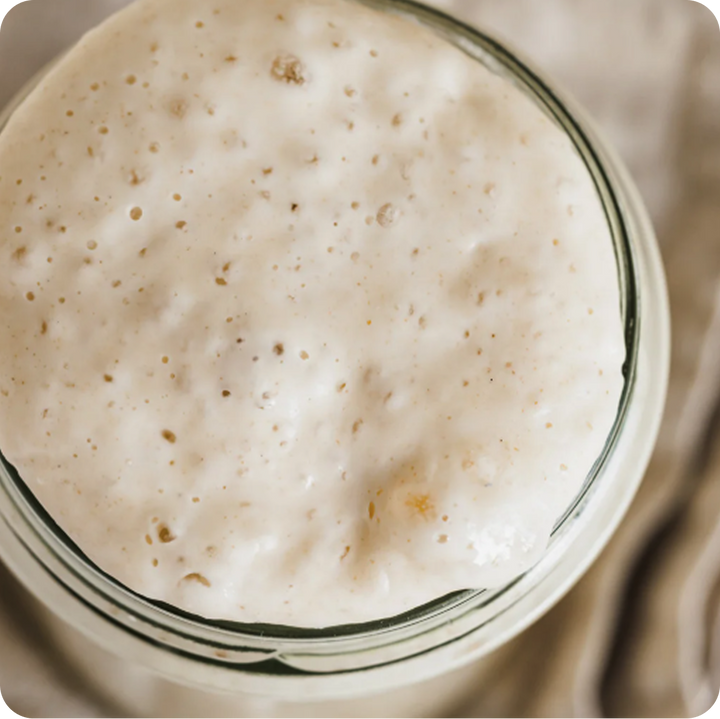 A Taste of Sourdough Cookbook