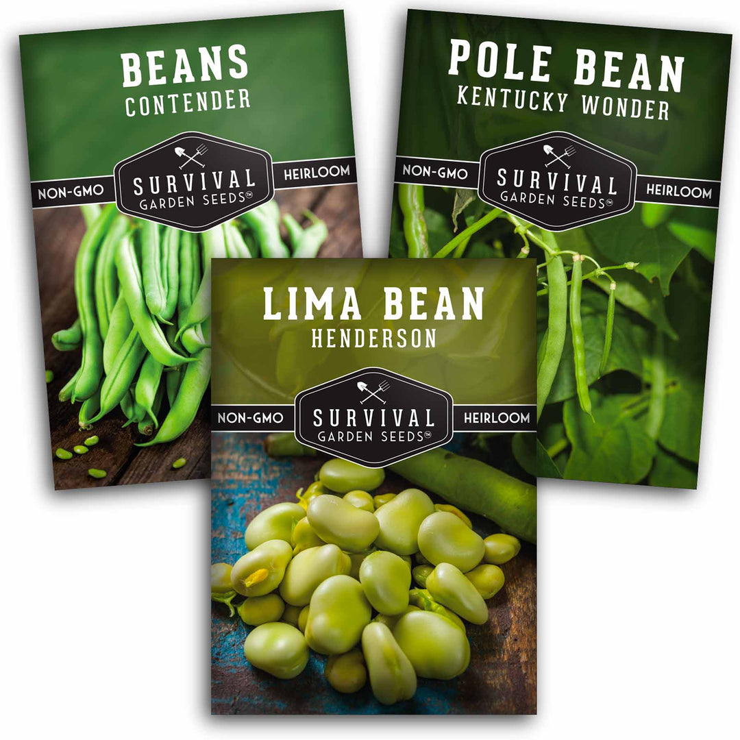garden beans seeds Bean Seed Collection