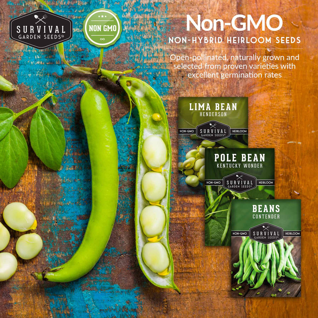 garden bean seeds Bean Seed Collection