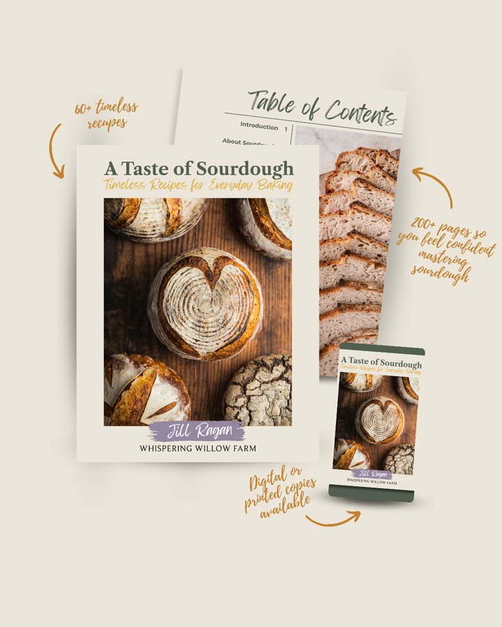 A Taste of Sourdough Cookbook (eBook)