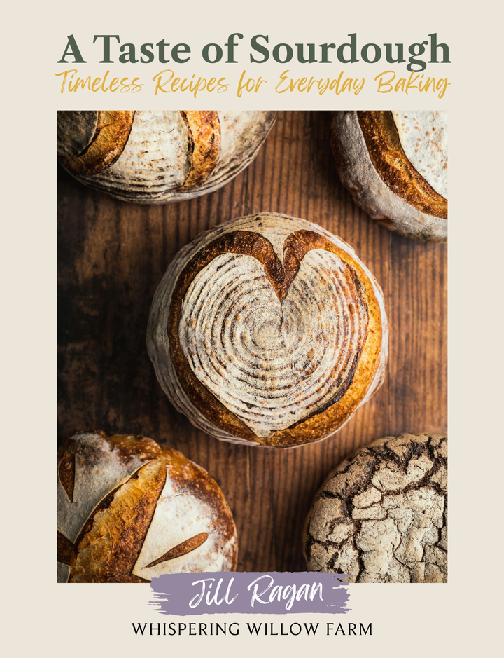 A Taste of Sourdough Cookbook (eBook)