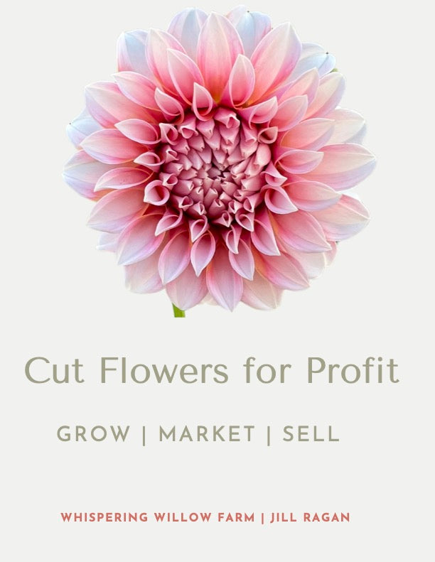 Cut Flowers For Profit (E-Book)