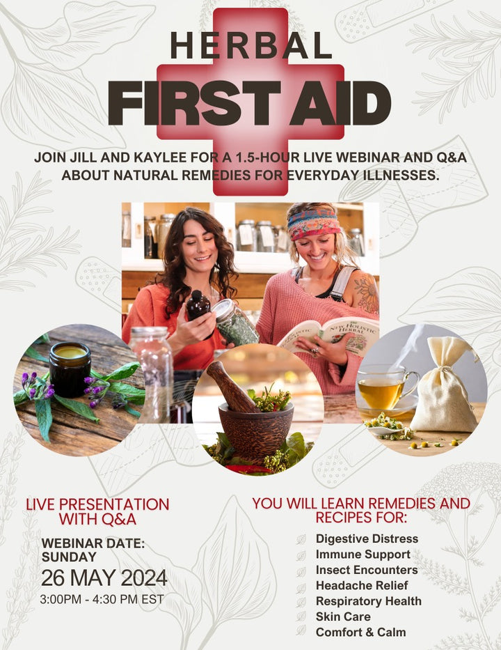 Herbal First Aid | Recipes + Remedies for the Home (Recorded Webinar)
