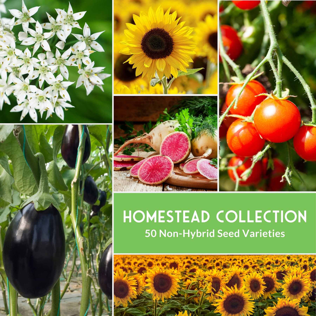 non hybrid flower seeds Homesteader Collection