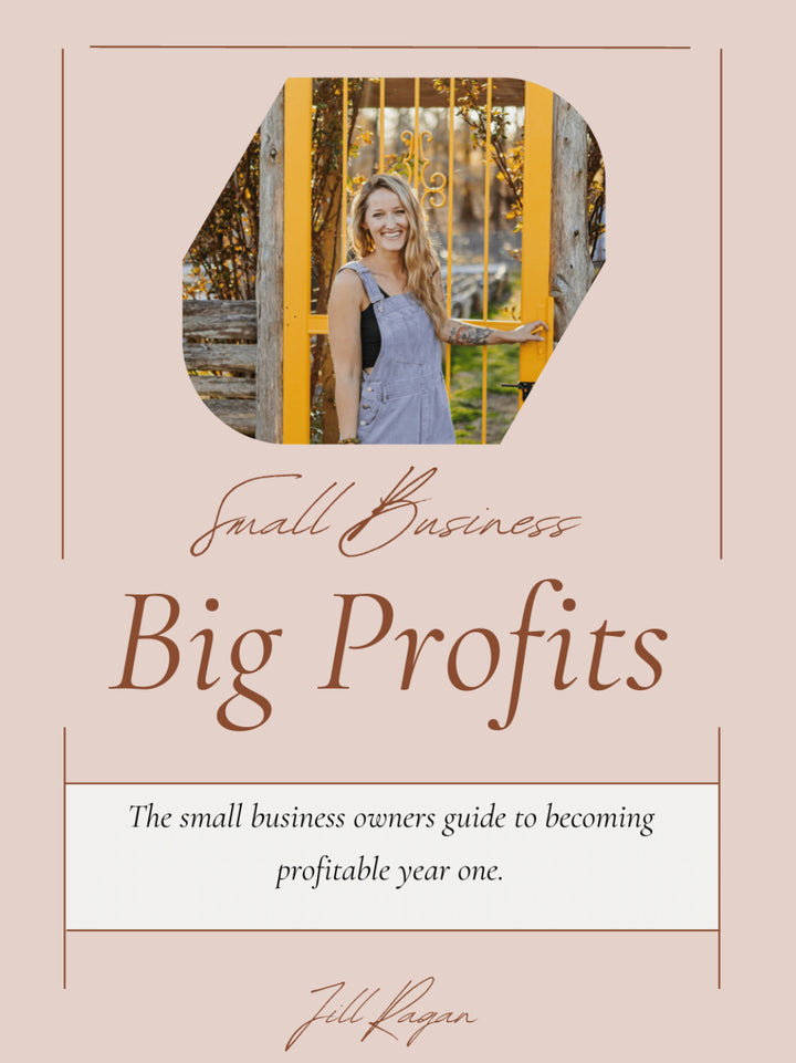 Small Business Big Profit Guide (E-Book)