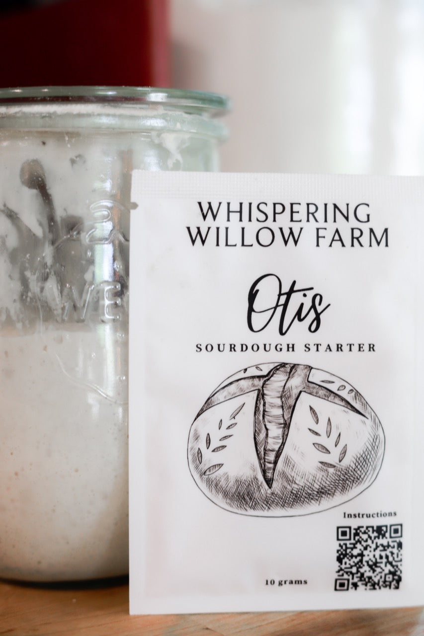 Otis | Sourdough Starter