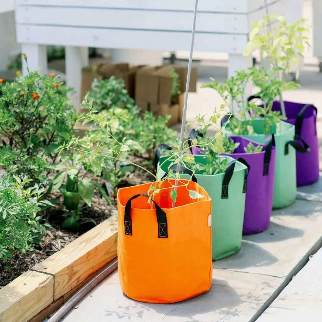hanging plastic plant bags Grow Bags