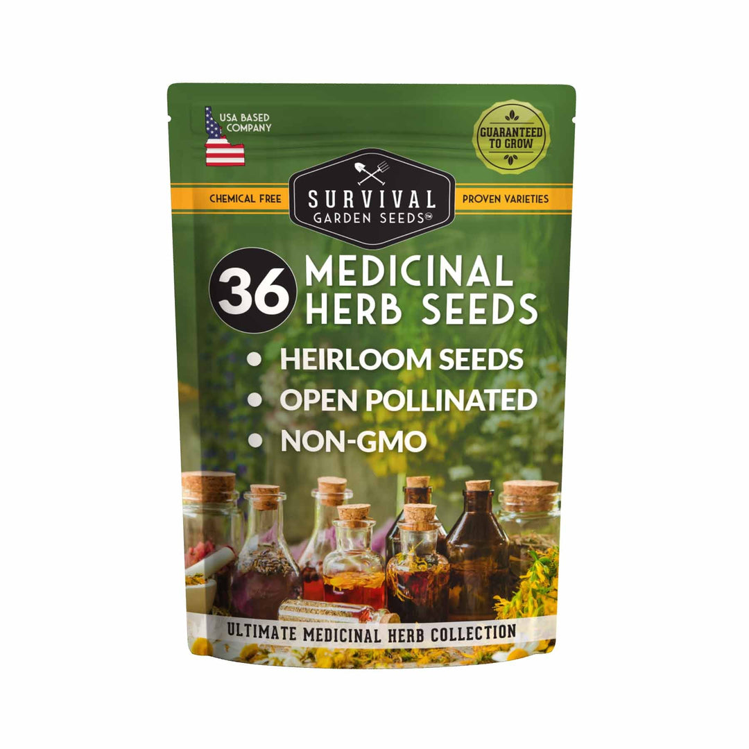 healing garden seeds Medicinal Herb Garden