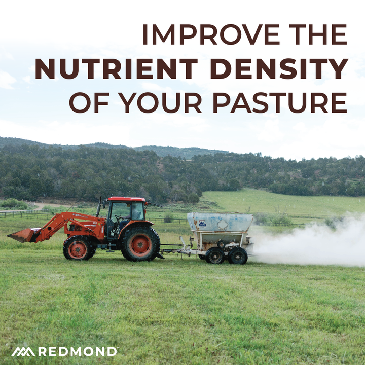 Mineralyte Soil Amendments