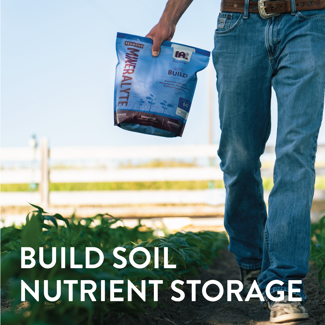 Mineralyte Soil Amendments