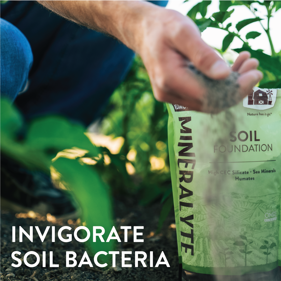 Mineralyte Soil Amendments